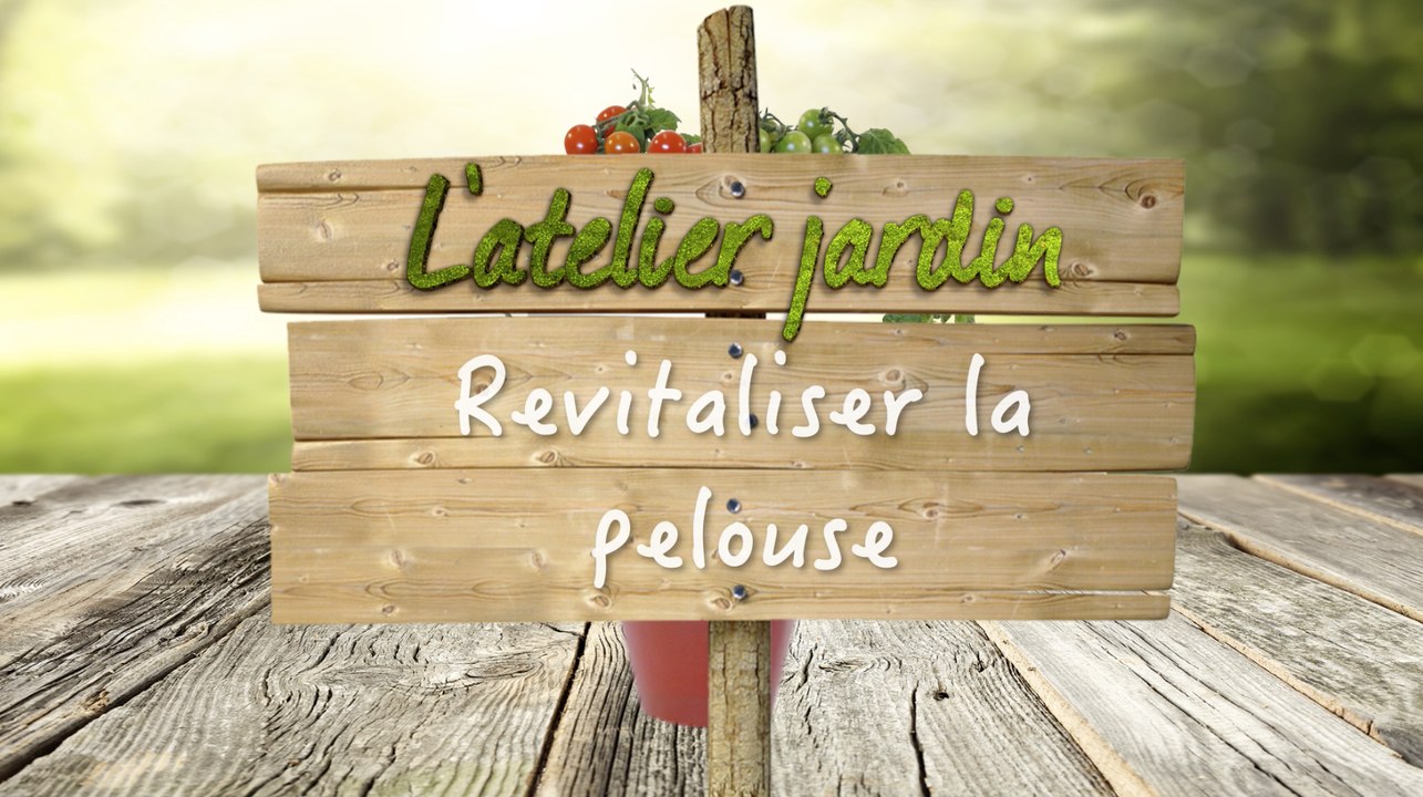 Comment revitaliser la pelouse ?