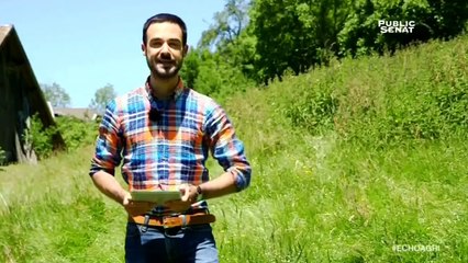 Délocalisation des cheptels - L'écho de l'agriculture