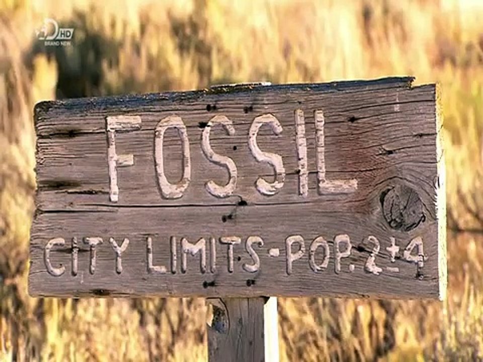 How It's Made Fossils