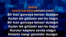 Sinan Özen - Bir Kızıl Goncaya Benzer Dudağın - TSM - (2014) TÜRKÇE KARAOKE