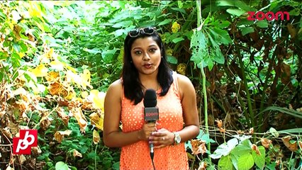 zoom captures Shah Rukh Khan's new home - TOP STORY