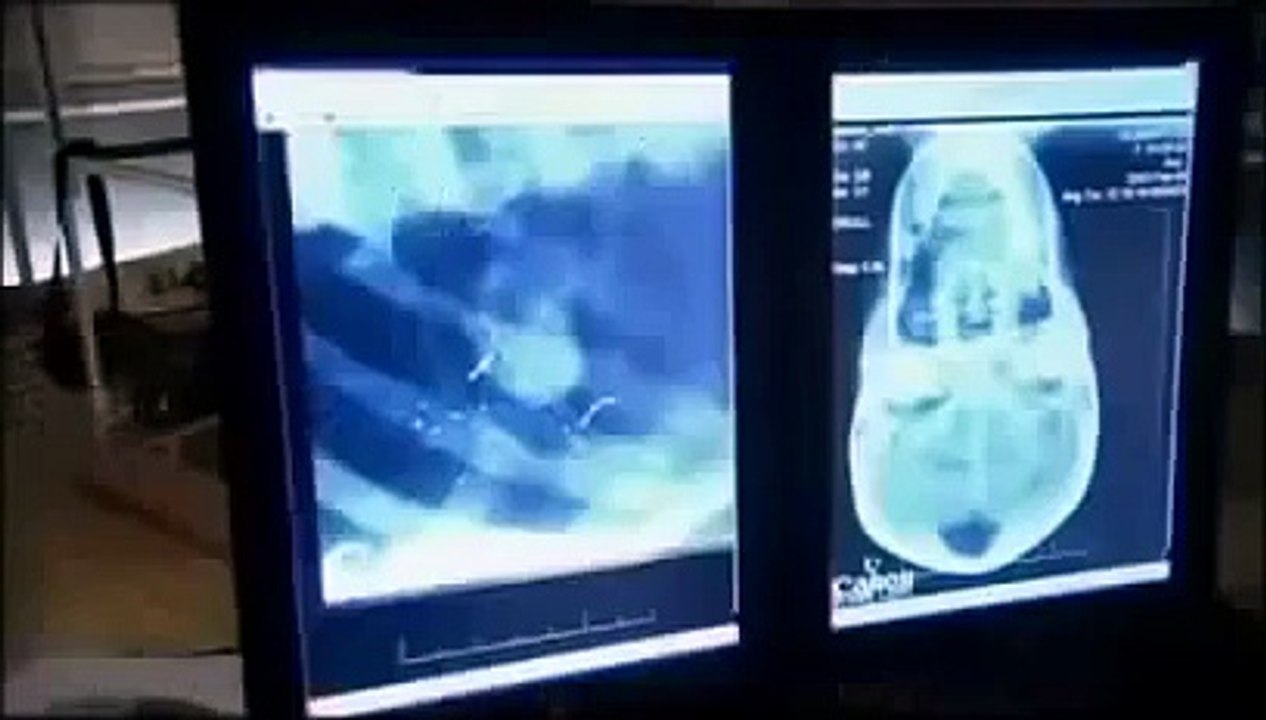 Queen Nefertiti of Egyptian Resurrected Perhaps Egypts Most Beautiful Queen