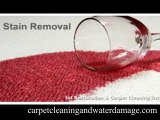 Professional Oriented Rugs Cleaning Fort Lauderdale Services