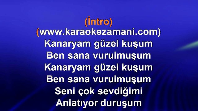 Sinan Özen - Kanaryam Güzel Kuşum - TSM - (2014) TÜRKÇE KARAOKE