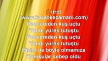 Sinan Özen - Pencereden Kuş Uçtu - TSM - (2014) TÜRKÇE KARAOKE