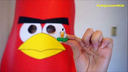 NEW Angry Birds Finger Family Song | Learn song Nursery Rhymes with Angry Bird video child