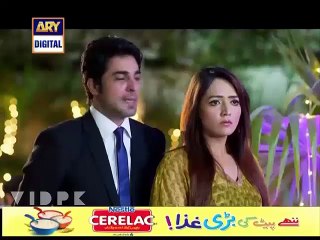 Mere Jevan Sathi - Episode-17 On ARY Digital In HD Only On Vidpk.com
