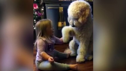 La niña enseña a perro a dar la pata