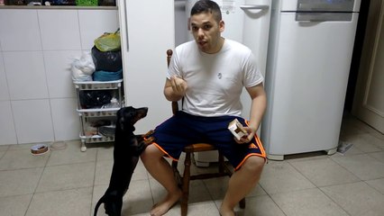 Technique énorme pour faire prendre ses médicaments à son chien!