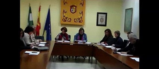 PLENO EXTRAORDINARIO 20 DE NOVIEMBRE DE 2015