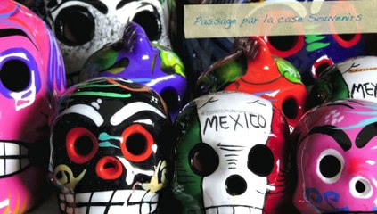 Nocybb110 - 51 - 12 jours au pas de course suite