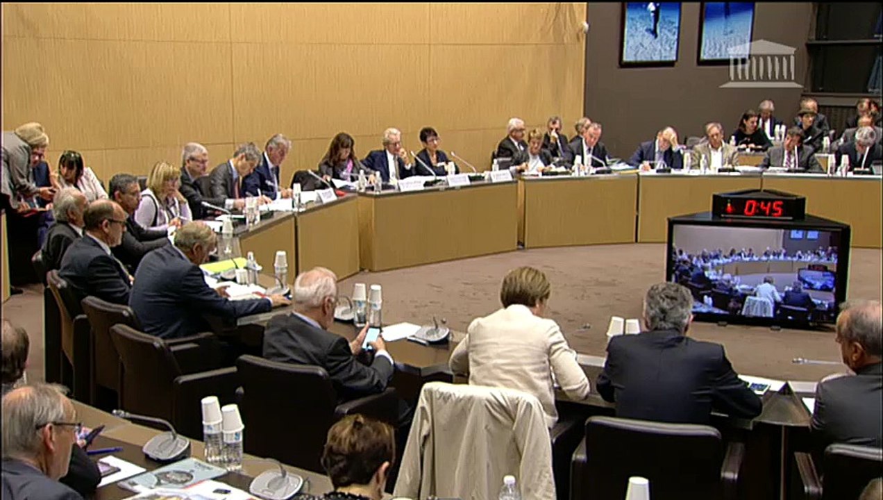 04.11.2015 - Commissions du Développement Durable, des affaires économiques et des affaires sociales: Air France