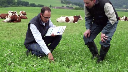 Ingénieur développement commercial - Beau travail