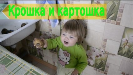 Крошка и картошка