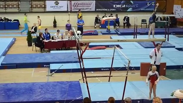 Ekaterina Sokova FX - Hungarian Meet 2014