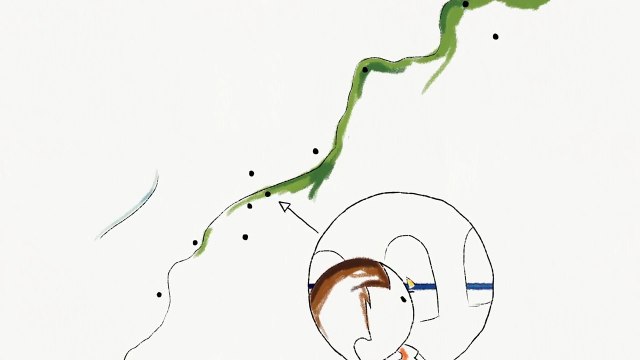 Océan et Climat : L'acidification des océans