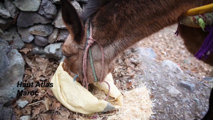 Deux hommes un regard Extrait 1