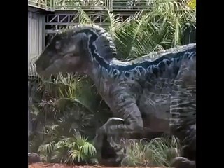 OMG !!! Dangerous Dinosaur What They Do - Must Watch