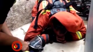 Heroic Firefighter Saves Dog By Giving It Mouth To Mouth | Must Watch