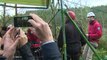 Duke and Duchess of Cambridge abseil in North Wales