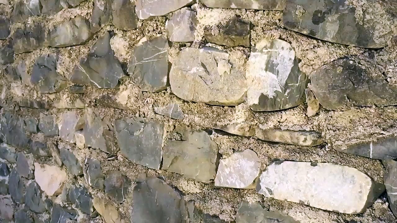 Orange thrown against wall - Slowmotion