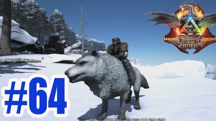 ARK Survival Evolved #64 จับหมาป่า Dire Wolf ในเขตหิมะ