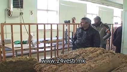 MONIKA PRILEP PREDVREMEN OTKUP NA TUTUN NEMA  20 11
