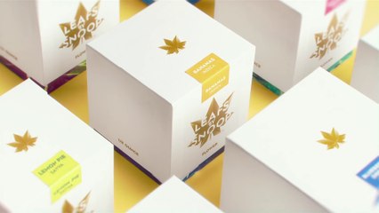 Identité graphique - Leafs Snoop Dog