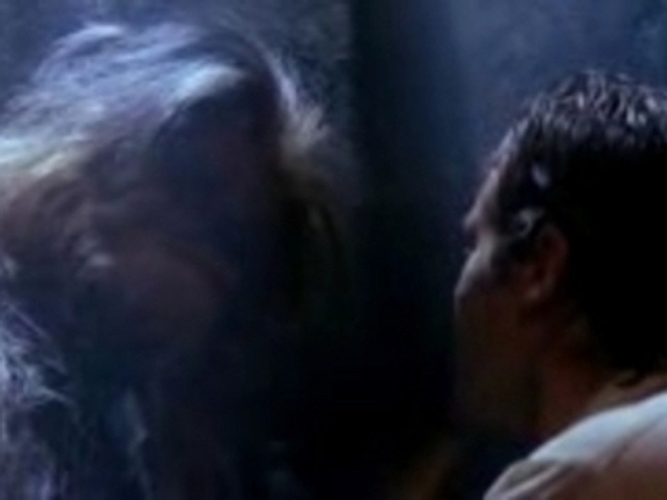 Chewbacca se sent solo