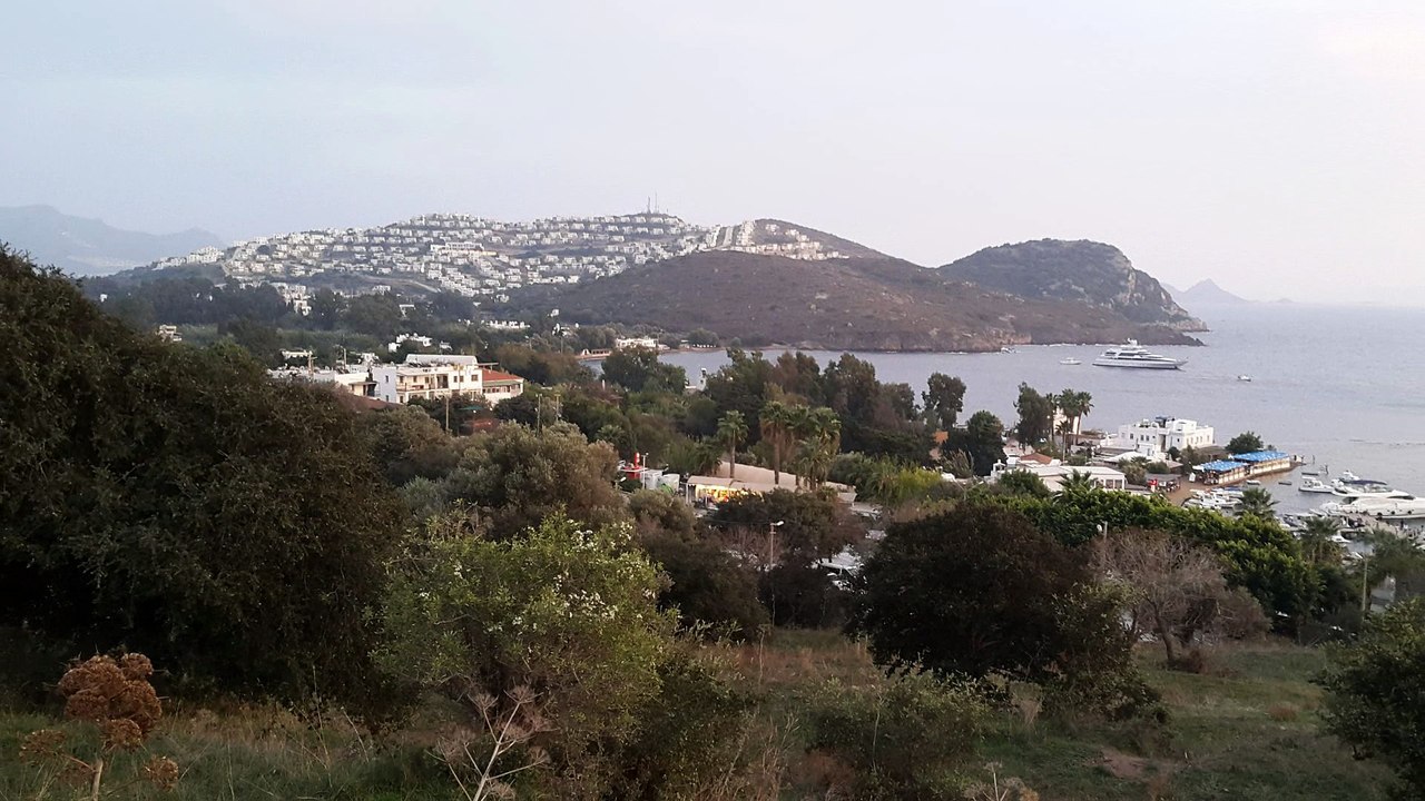 leylim ley