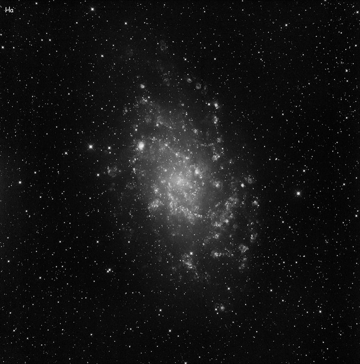 m33-Ha