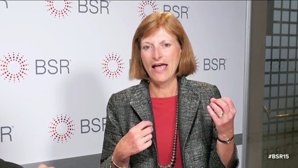 A Video Interview with Sandra Postel of the Global Water Policy Project at the BSR Conference 2015
