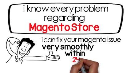 store-team magento web development services