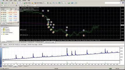Discover the No-Loss Forex Strategy for Beginners 🚀