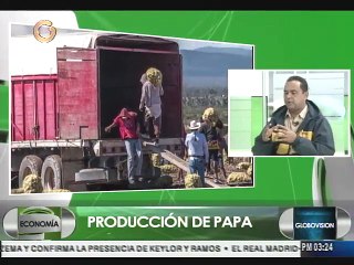 Llegará al país la primera carga de papas proveniente de Canadá