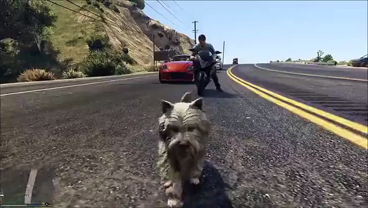 GTA Doggy HAHAH AWESOME