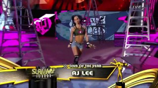 WWE TLC 2014 AJ Brooks as AJ Lee vs Nikki Bella,spider outfit