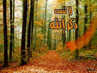 ادعية مؤثره يخشع لها القلب وتدمع لها العين