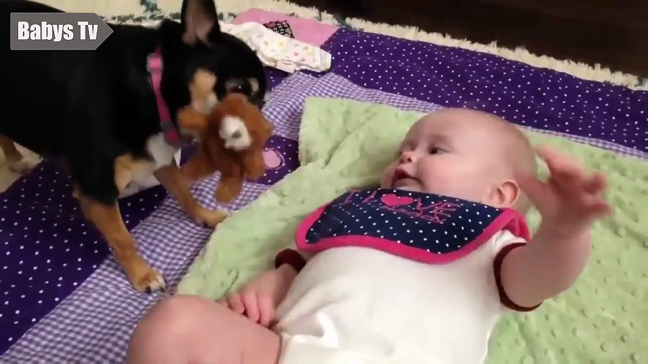 Puppies and Babies Playing Together Compilation 2015 , # 3