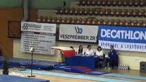 Ekaterina Sokova FX - Hungarian Meet 2014