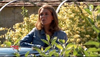 France 3 - Les carnets de Julie (Pays de Fontainebleau) - 10-10-2015 16h55 01h (9097)