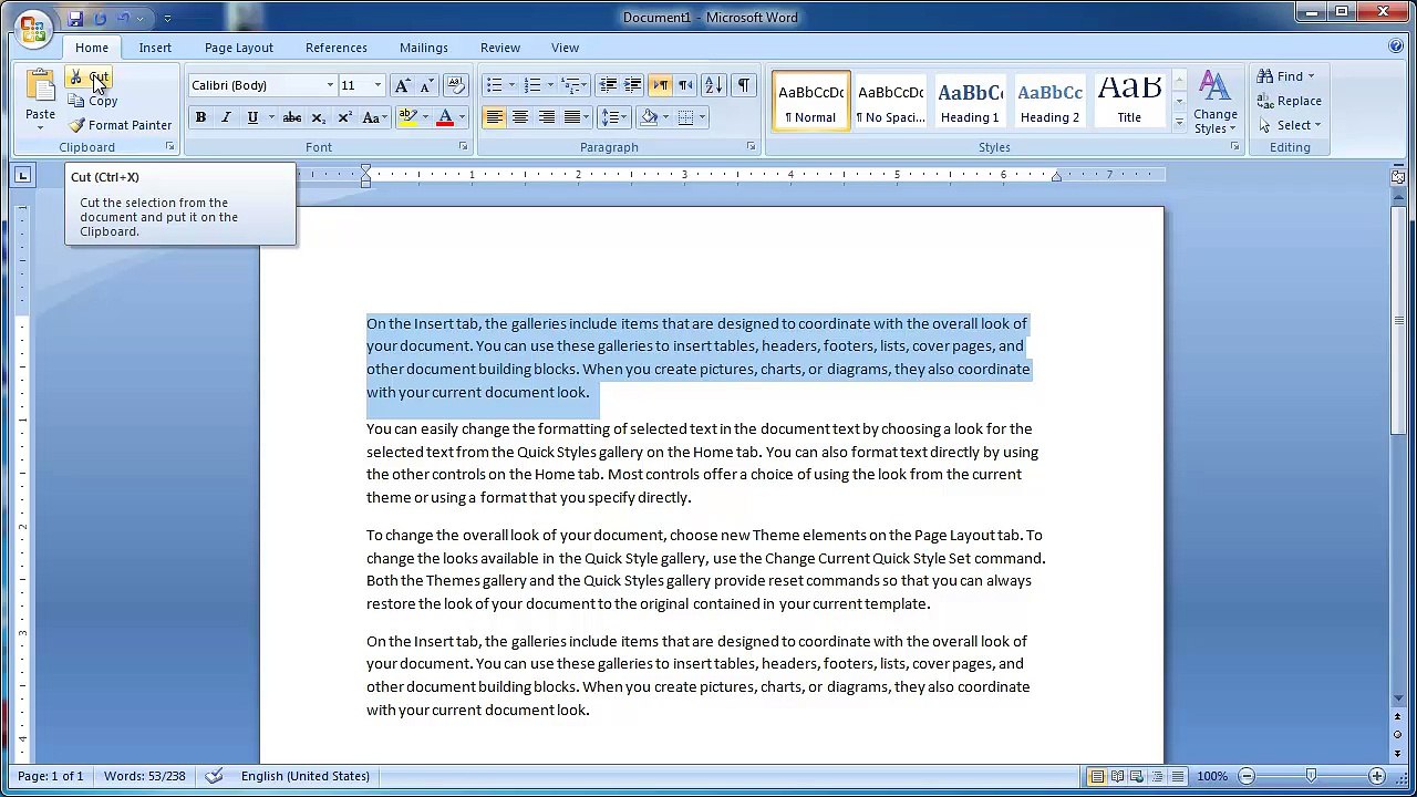 Part 9 - MS Word 2007 Tutorial In Urdu/Hindi - Home Tab (Clipboard Group)