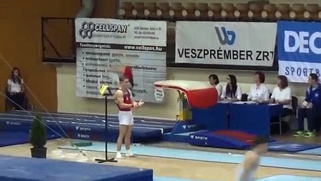 Yulia Biryulya VT - Hungarian Meet 2014