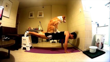 Собака - самый преданный друг