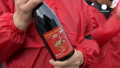 "Beaujolais nouveau", il vinello francese che ha conquistato il mondo