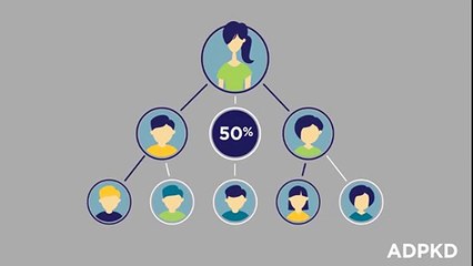 What is Polycystic Kidney Disease