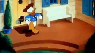 Pato donald y las ardillas en español Pato Donald dibujos animados