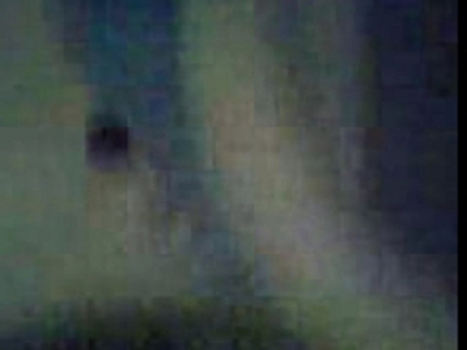 Pol mort