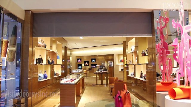 Door Systems Inc Video Business Card