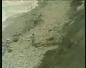 Erol's dreadlock holiday